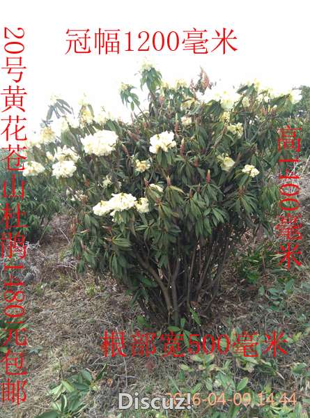 IMG_20160409_144440.jpg