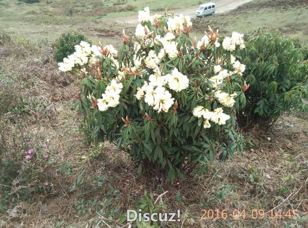 IMG_20160409_144506.jpg