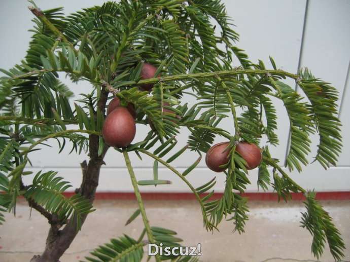 16׮5.jpg