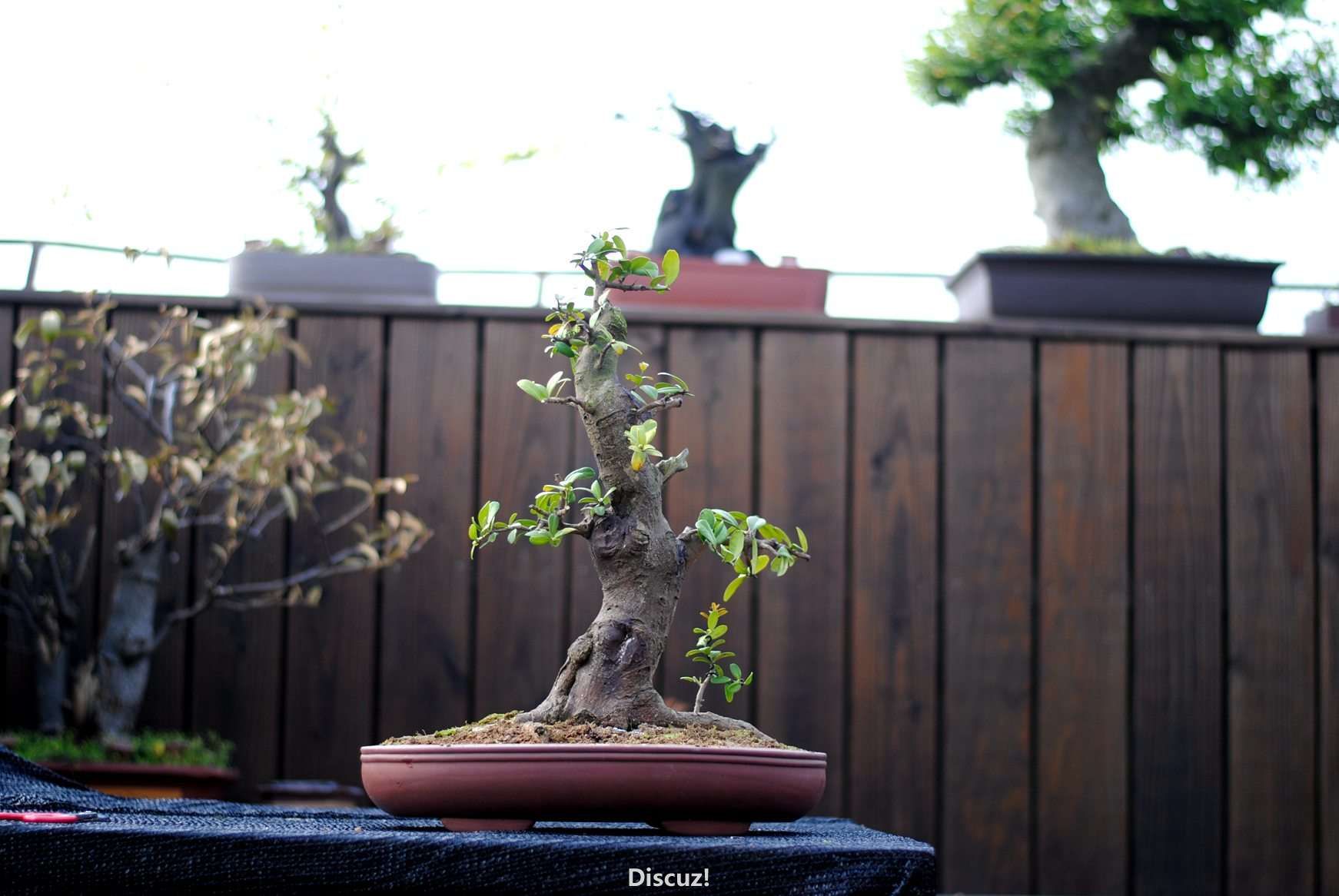 DSC_0669.JPG