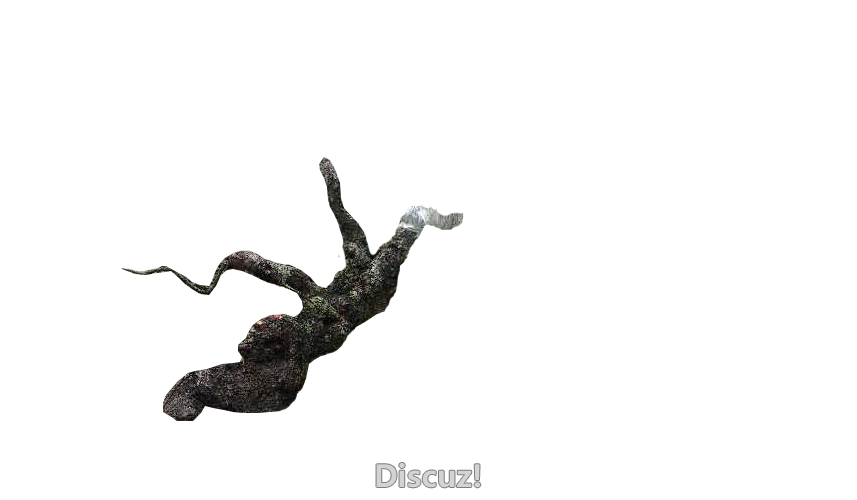 00.png