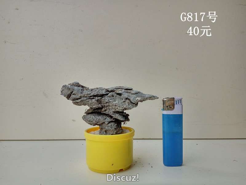 g817.jpg