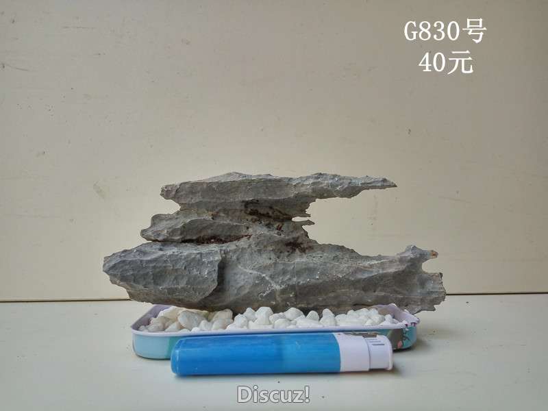 g830.jpg