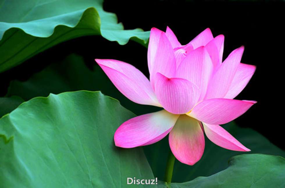 2012.7.22.jpg