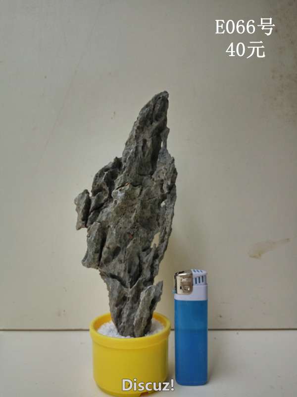 e066.jpg