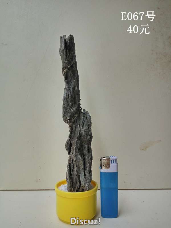 e067.jpg