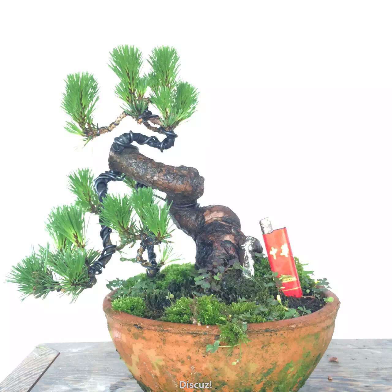 3C5BF4EE5D190D8606F4CB7BAF488D9E.png