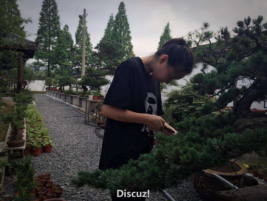 QQͼƬ20160530210039.jpg