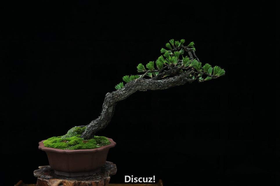 QQͼƬ20160601171836.png