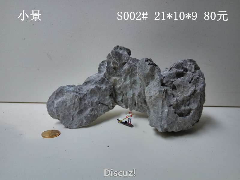 s002.jpg