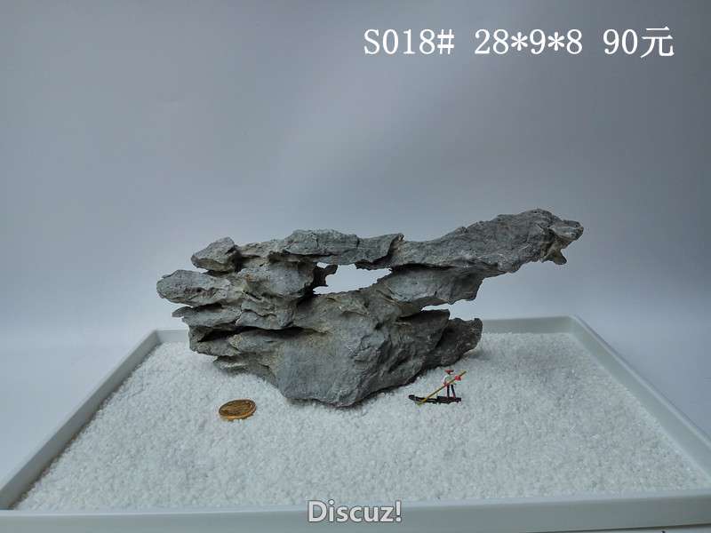 s018.jpg