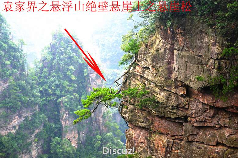 Ԭҽ1060458.jpg