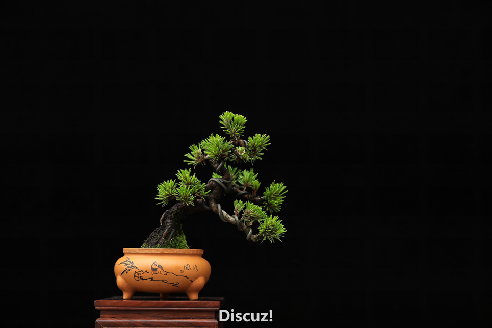 QQͼƬ20160604185815.png