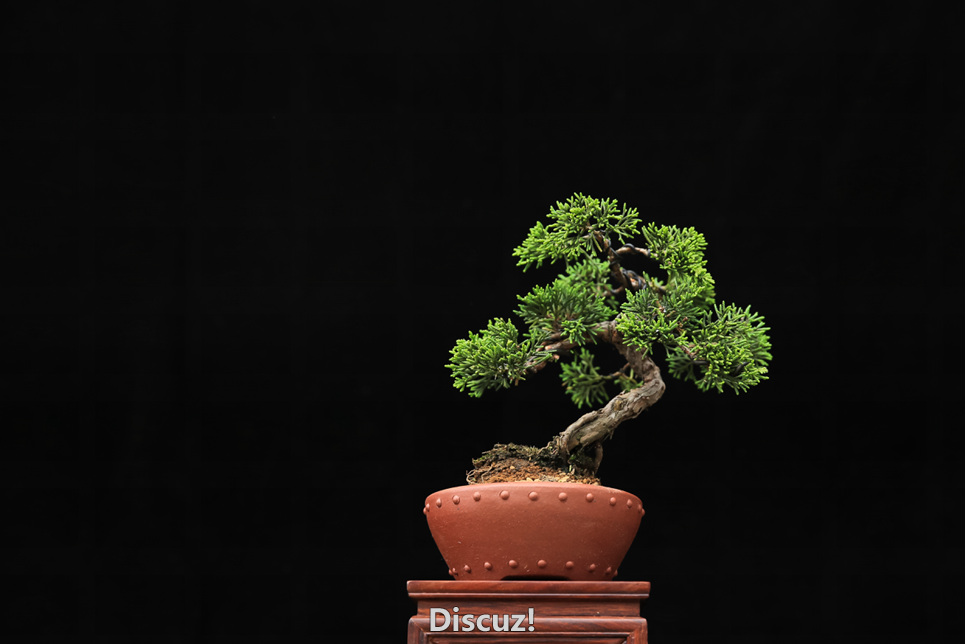 QQͼƬ20160604190019.png