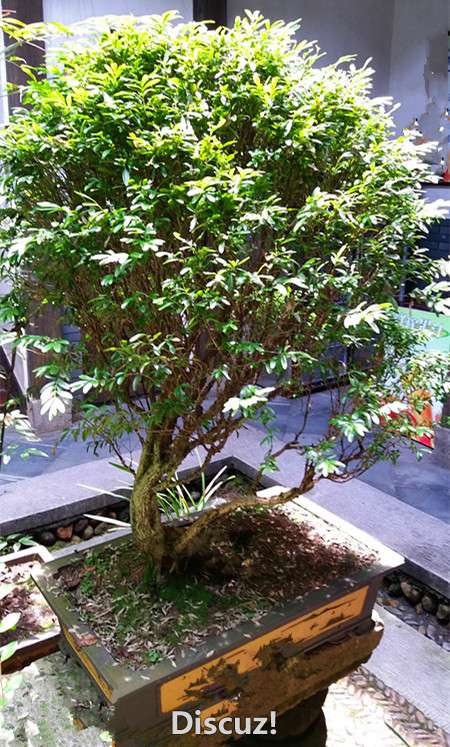 20160514_115144_.jpg