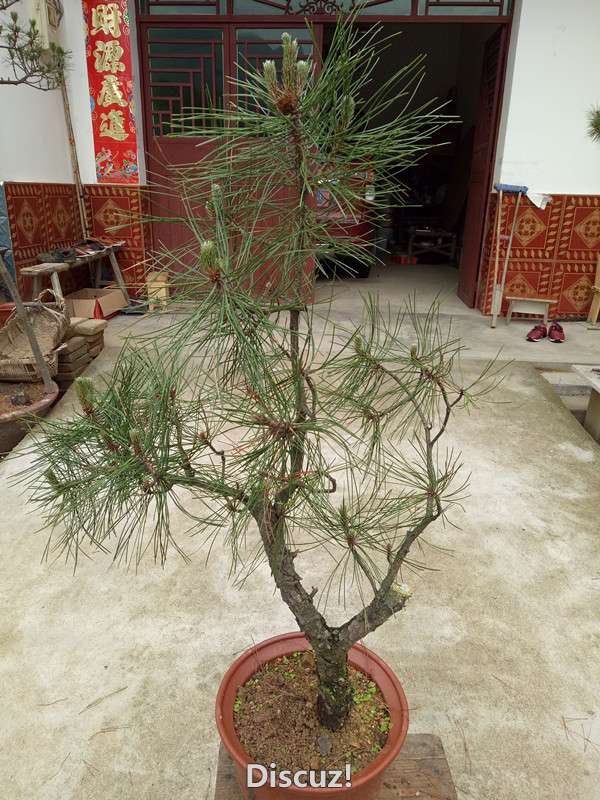 QQͼƬ20160524145428_.jpg