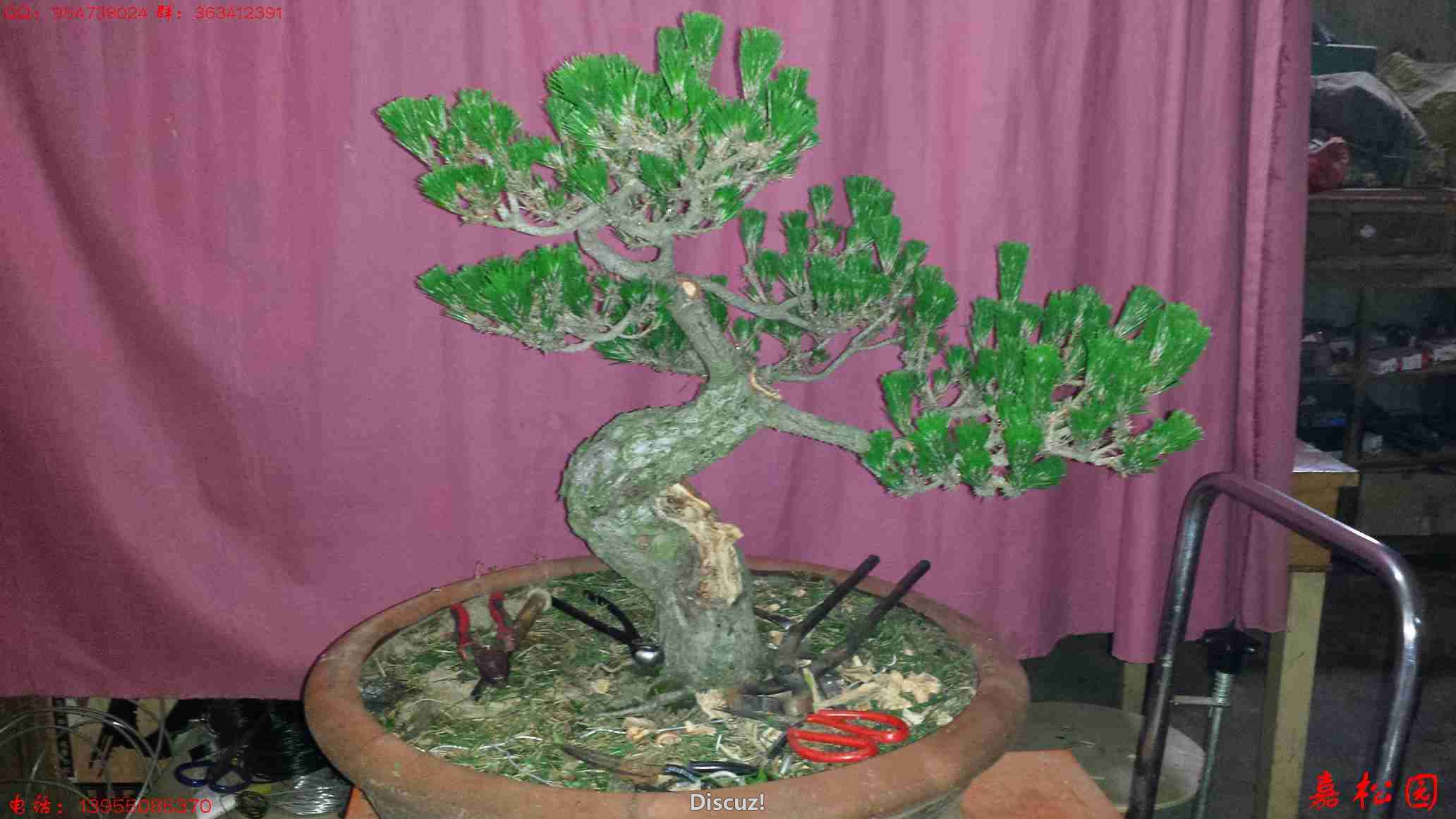 20160531_093747.jpg