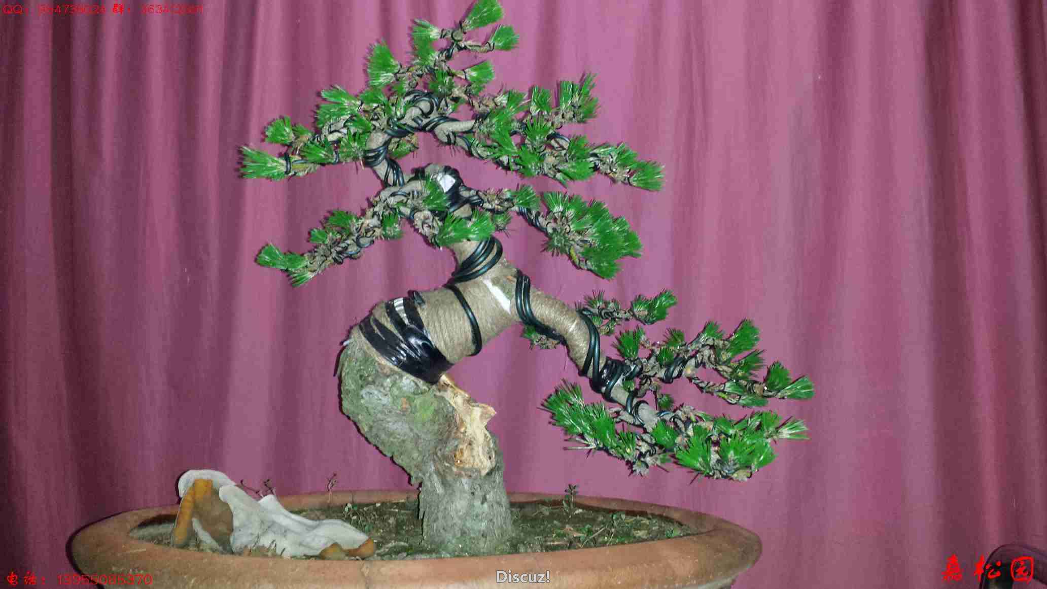 20160601_085042.jpg