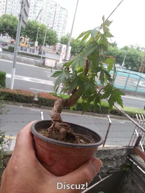 20160608_133845.jpg
