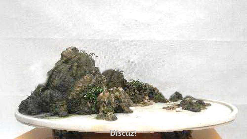 2345_image_file_copy_1.jpg