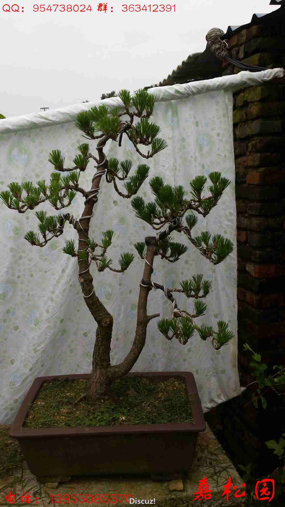 20160611_182406.jpg