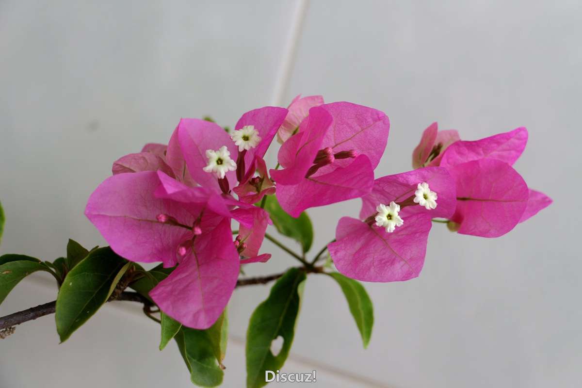 IMG_6715.JPG