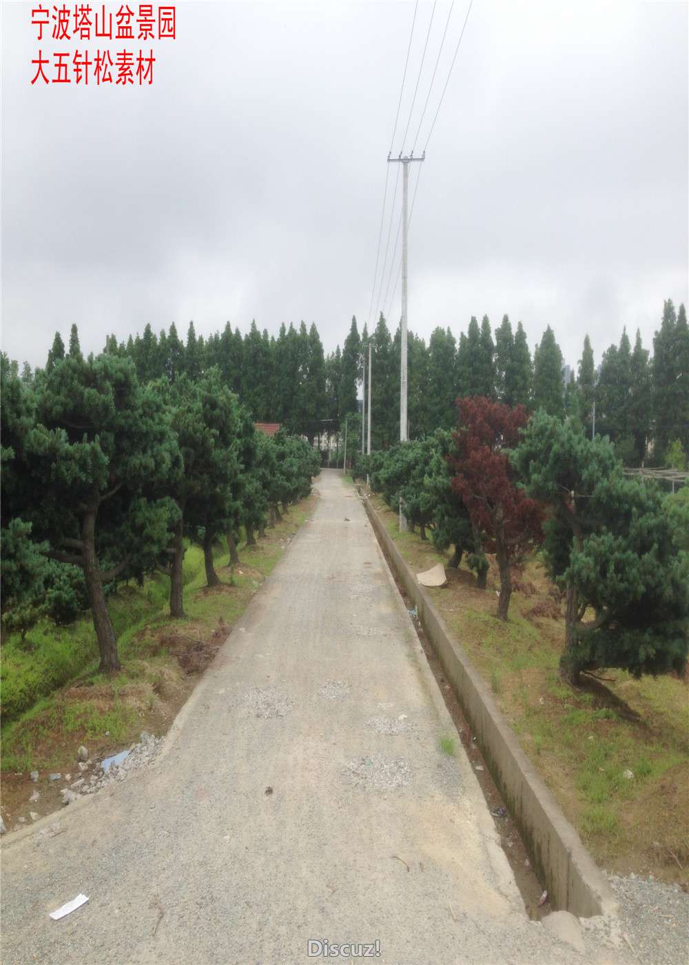 ز8.jpg