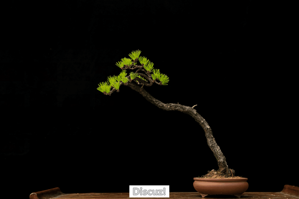 QQͼƬ20160607182556.png