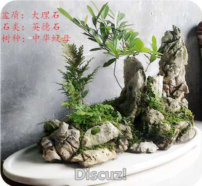201606191470_.jpg