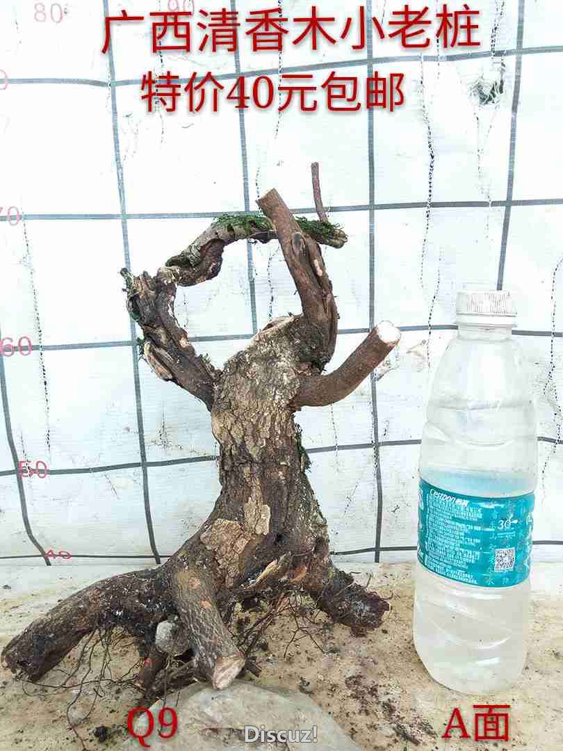 QQͼƬ20160620213312.jpg