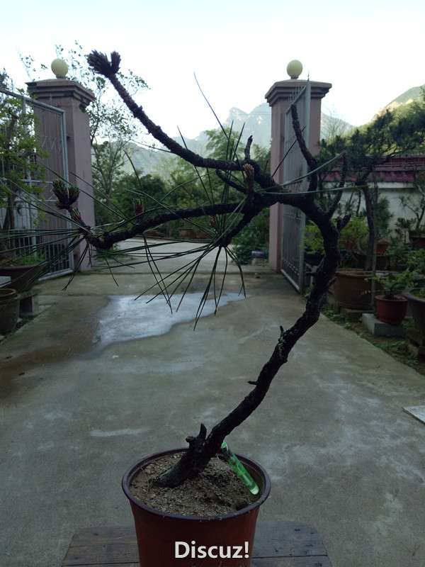 QQͼƬ20160614152911_.jpg