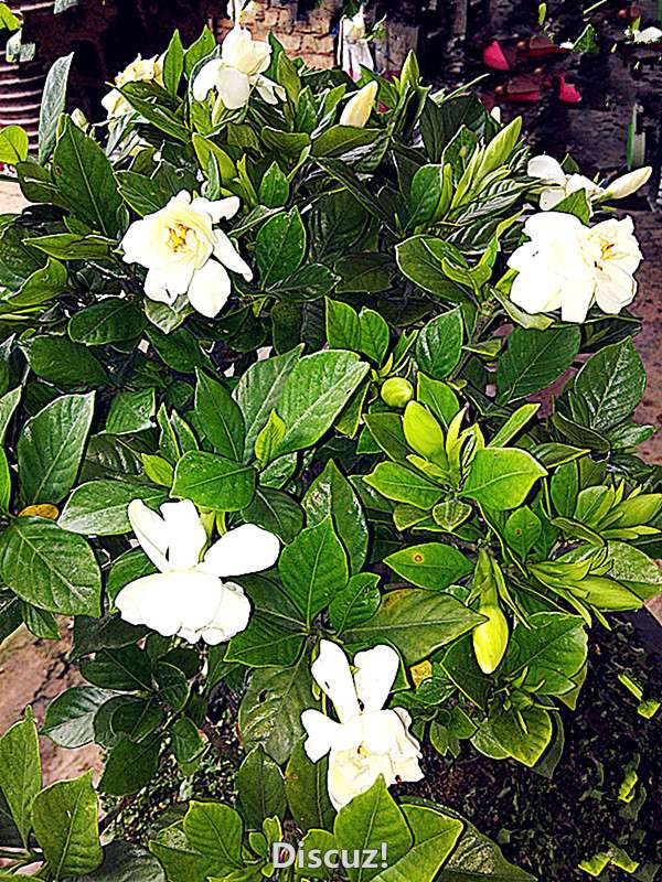 IMG_20160609_102111__.jpg