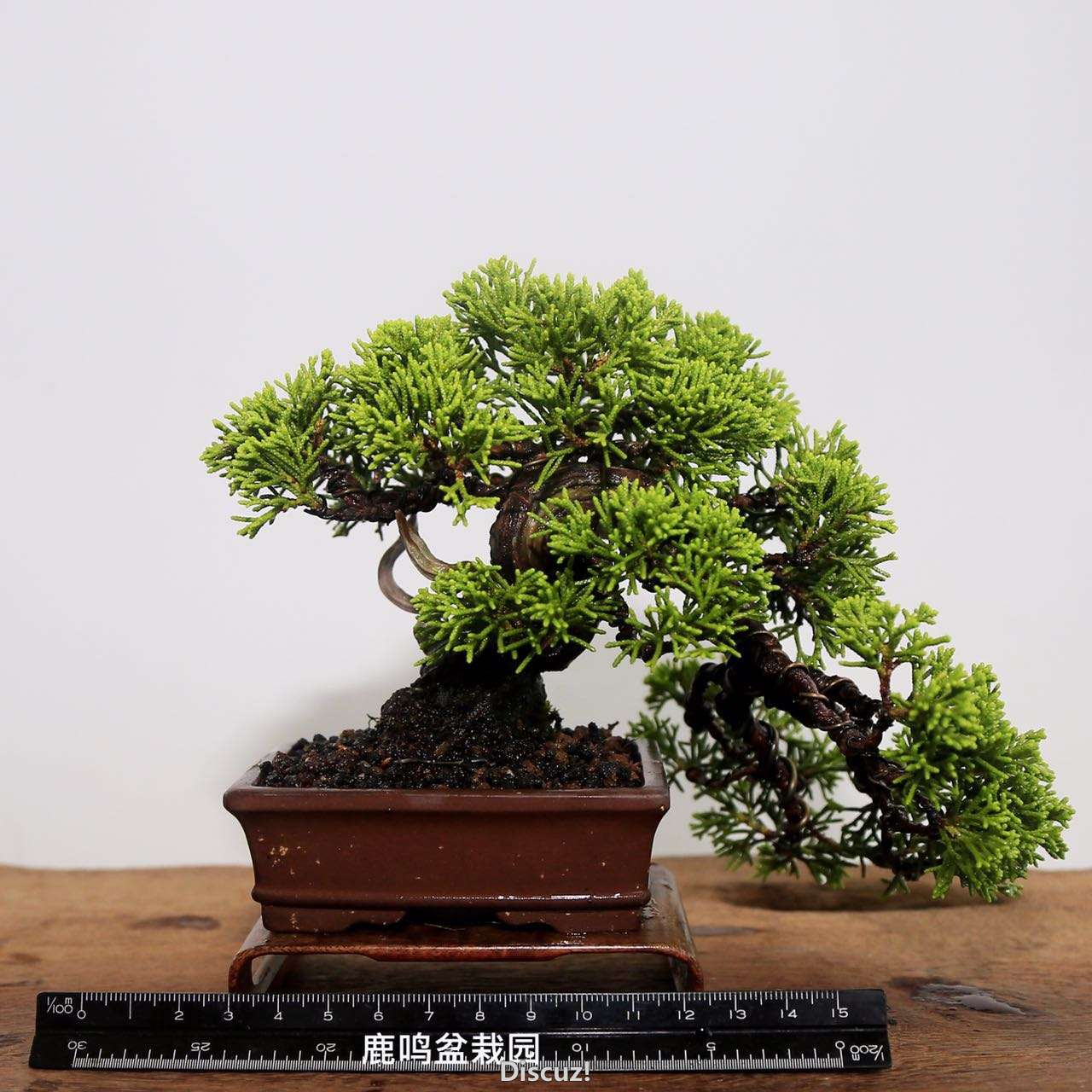 webwxgetmsgimg (1).jpg