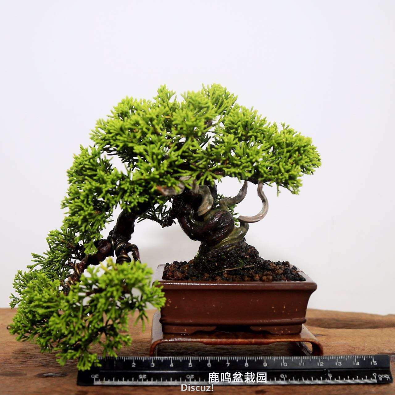 webwxgetmsgimg (3).jpg