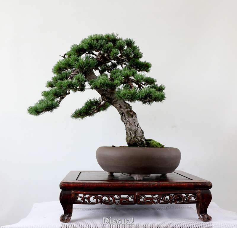 IMG_8159   ����.jpg