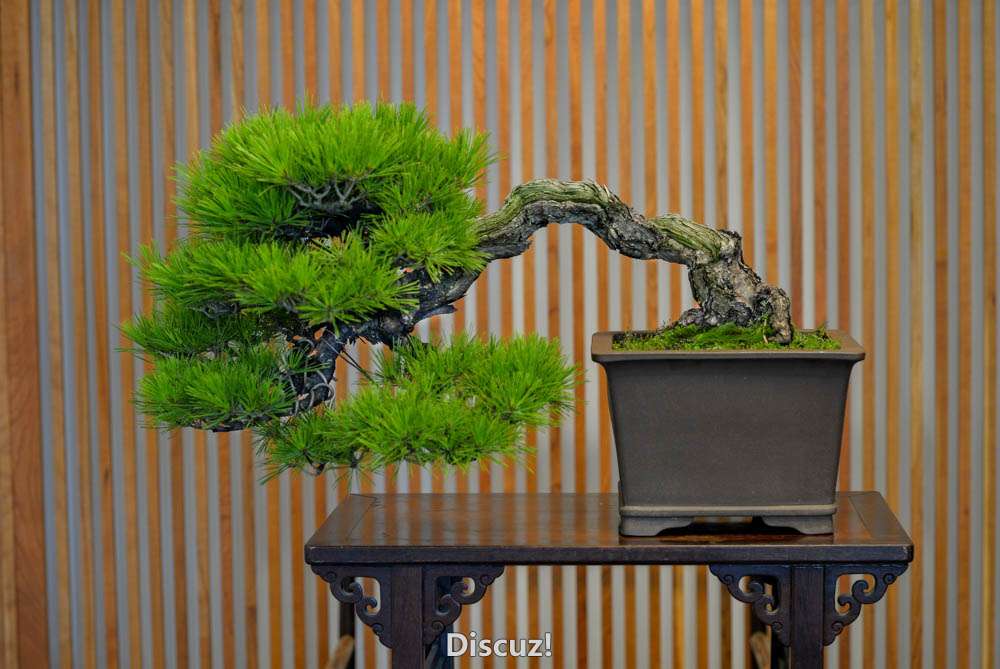 ����ˮ�� (1).jpg