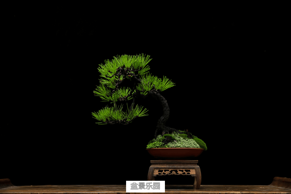 QQͼƬ20160711230144.png