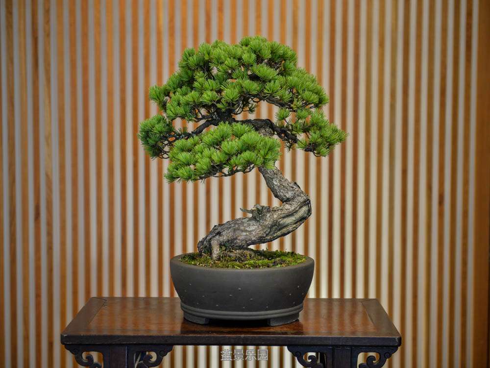 ������~ (2).jpg