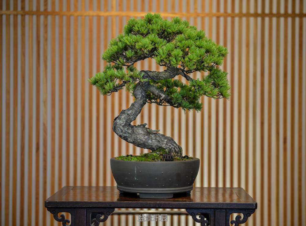 ������~ (1).jpg