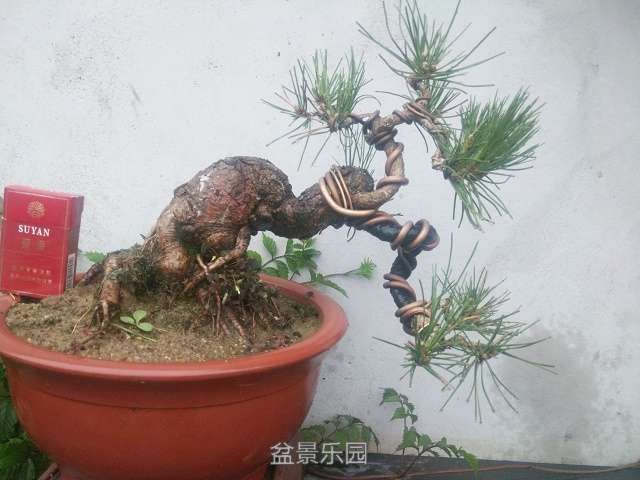 Camera RollIMG_20160716_185738.jpg