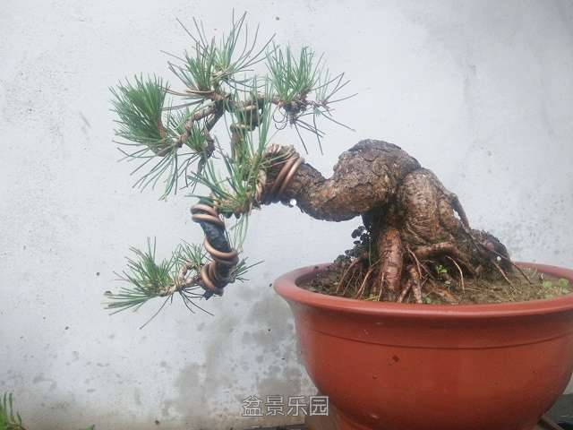 Camera RollIMG_20160716_185903.jpg