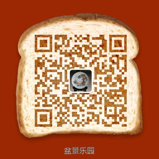 316176520378557439.jpg