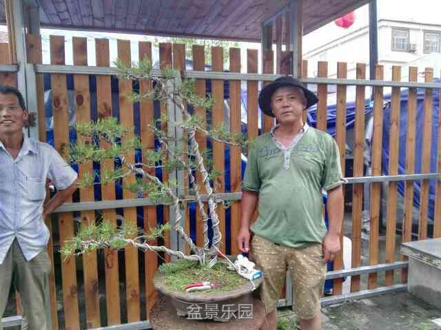 P_mmexport1468768264208.jpg