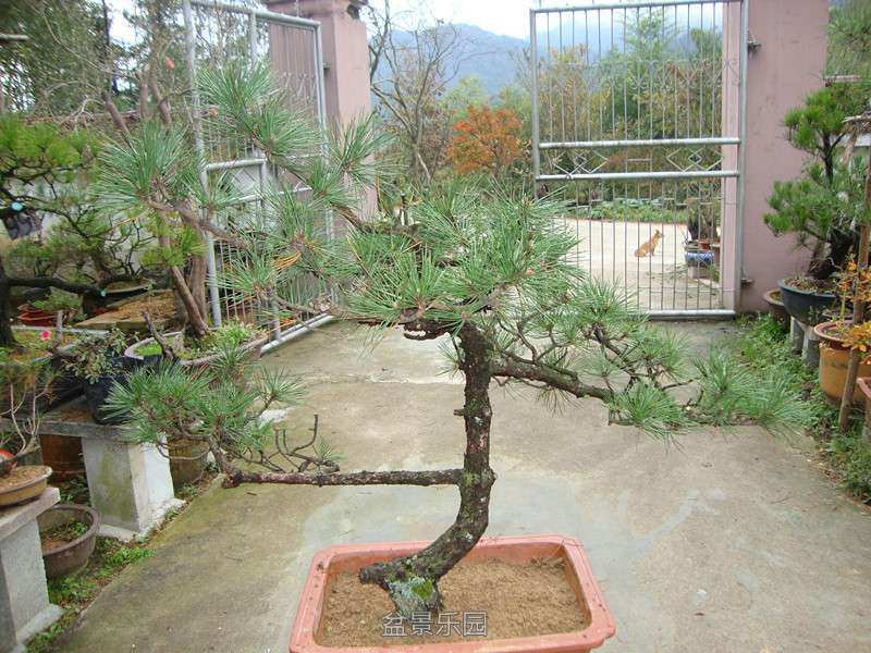 DSC04222_.jpg