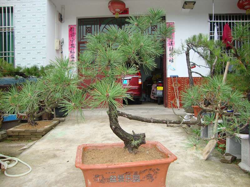 DSC04221_.jpg
