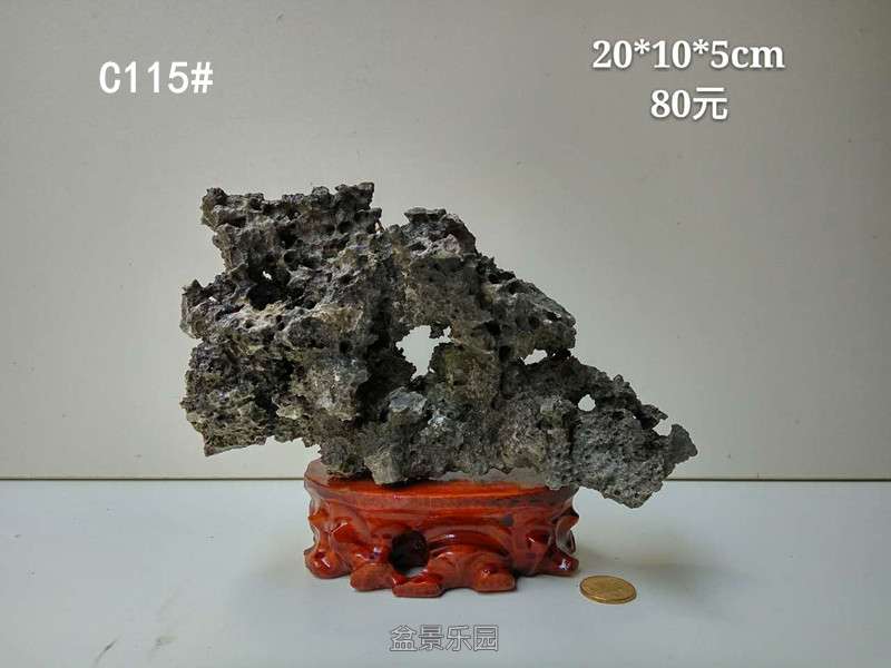 c115.jpg