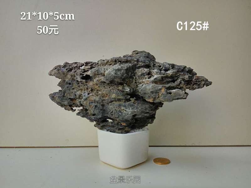 c125.jpg