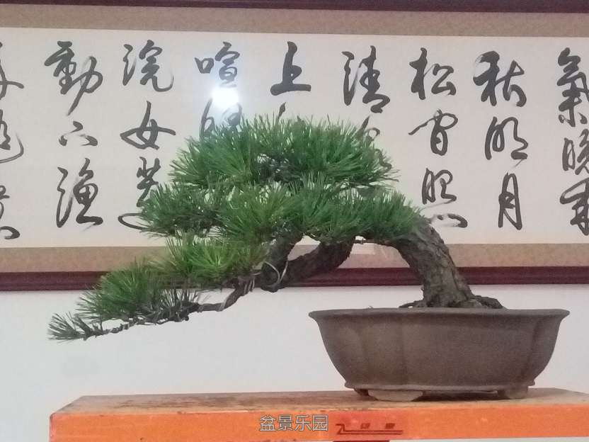 QQͼƬ20160726164850.jpg