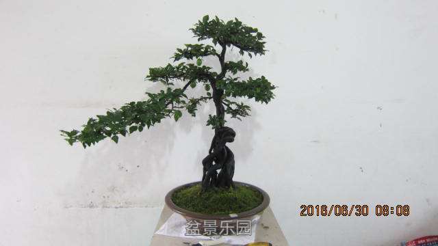 IMG_6968.jpg