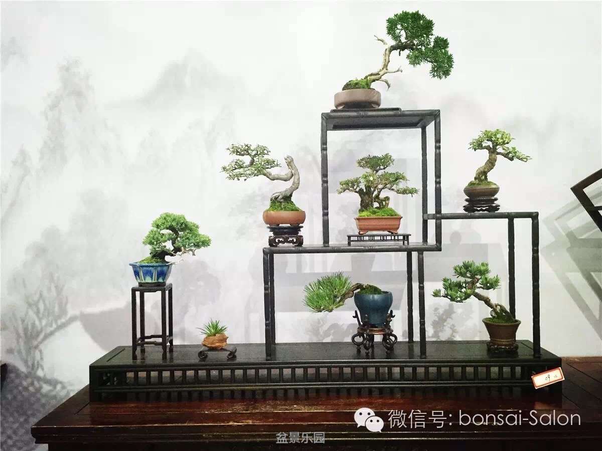 辰չ.JPG